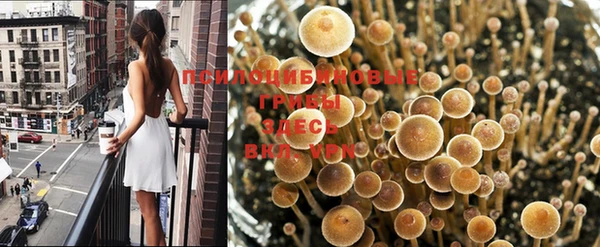 а пвп мука Пересвет