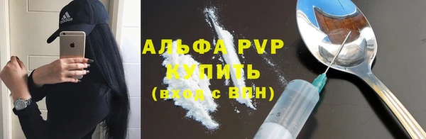 гашик Гатчина