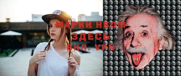 шишки Переславль-Залесский