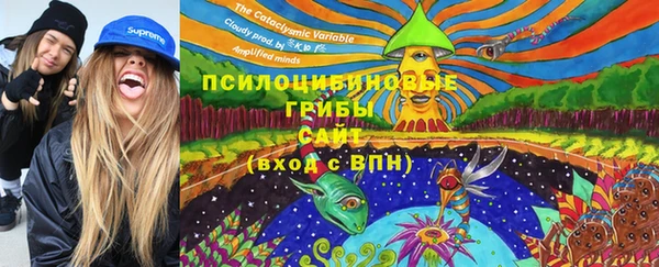 a pvp Осинники