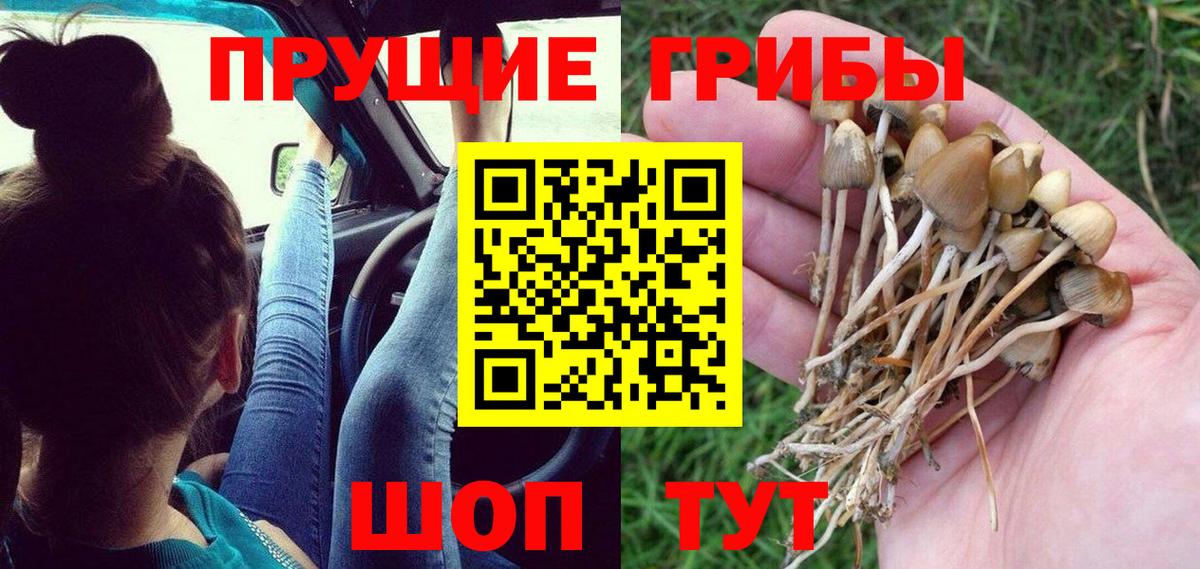 Галлюциногенные грибы ЛСД Полысаево