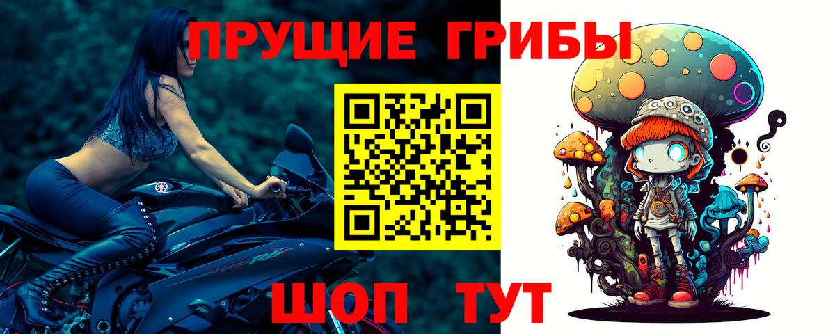 Псилоцибиновые грибы MAGIC MUSHROOMS  Вход с VPN  Полысаево 