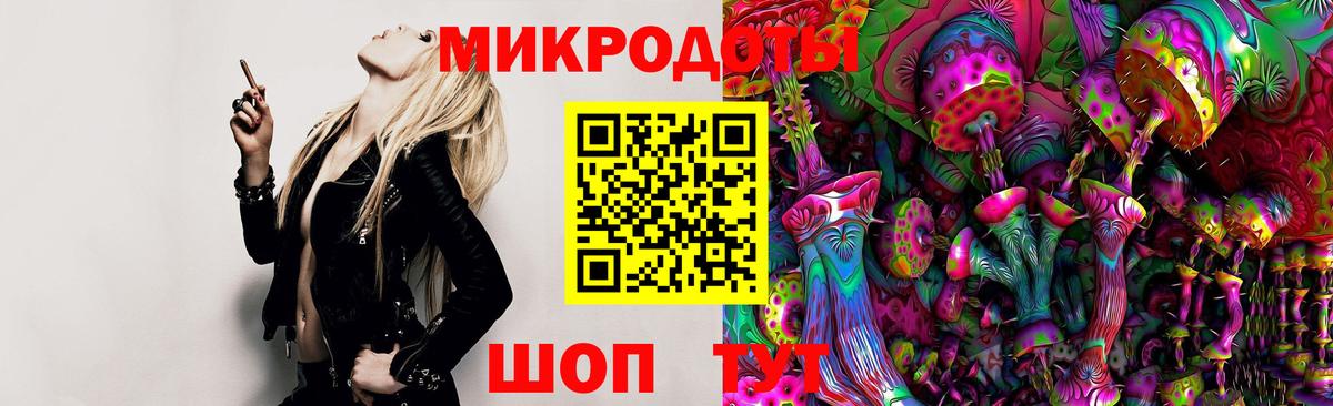 Псилоцибиновые грибы Psilocybe  Псилоцибиновые грибы прущие грибы  Полысаево 