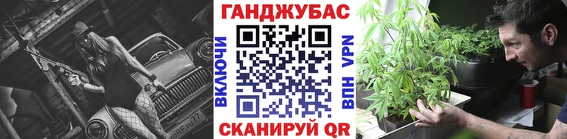 Конопля гибрид Полысаево